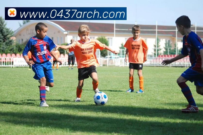 App Interface Preview